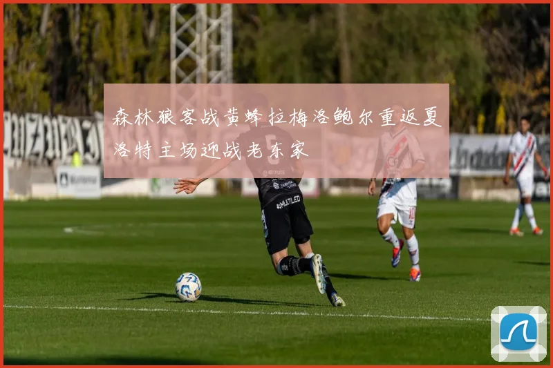森林狼客战黄蜂拉梅洛鲍尔重返夏洛特主场迎战老东家