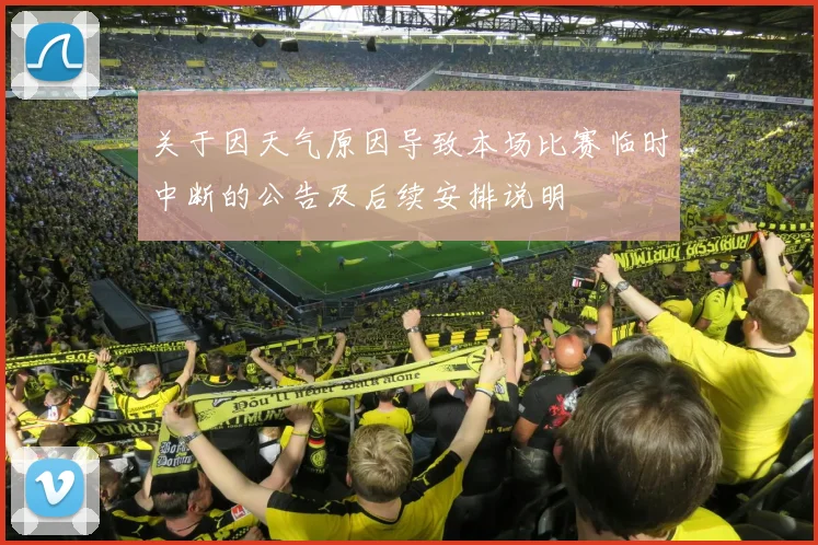 关于因天气原因导致本场比赛临时中断的公告及后续安排说明